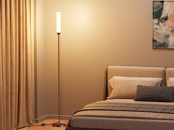 Ambimall LED Floor Lamp with Remote Control, 65" Standing lamp with Stepless Adjustable 3000K-6500K Colors & 30-100% Brightness, Foot Switch(Brown) (Pack of 2)