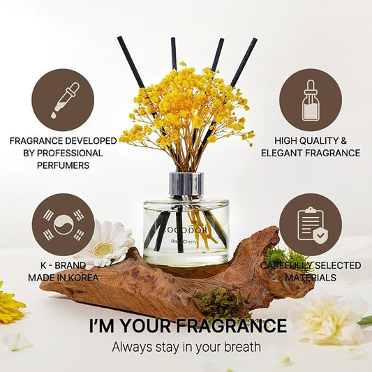 COCODOR Preserved Real Flower Reed Diffuser/Clean Linen / 6.7oz(200ml) / 2 Pack/Reed Diffuser Set, Oil Diffuser & Reed Diffuser Sticks, Home Decor & Office Decor, Fragrance and Gifts