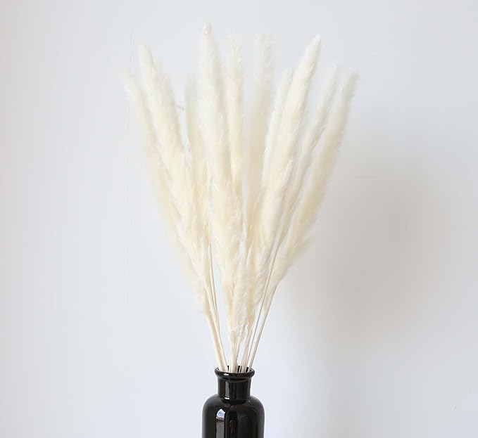 110 Stems Dried Pampas Grass, Boho Table Decor Natural Reed Phragmites Grass + Brown & White Pampas Grass + Bunny Tails Flowers Bouquet for Wedding Floral Arrangements Farmhouse Home Rustic Wall