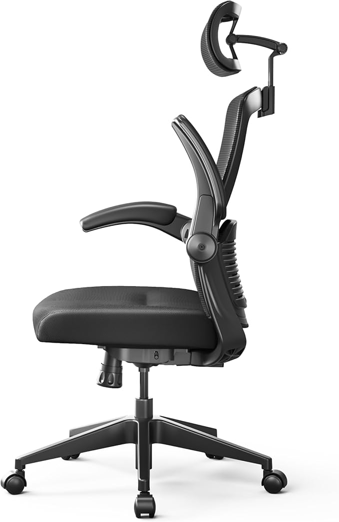 FLEXISPOT OC3-Pro Cloud Ergonomic Office Chair for Big and Tall Black, High Back Office Chair with Flip-up Arm/8-Level Lumbar Support, Foam Seat Cushion, Chairs for Home Office Studying Gaming, Black