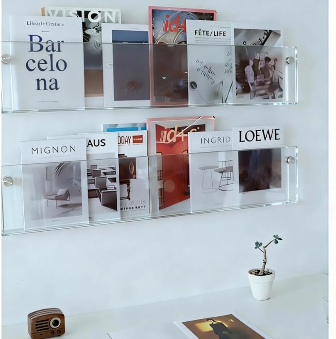 ROYALITA 2-Pack Acrylic Magazine Holder Brochure Holder, 36" Record Holder Magazine Rack, Fashion Hanging Bookshelf Literature Storage Rack for Waiting Room, Living Room, Office