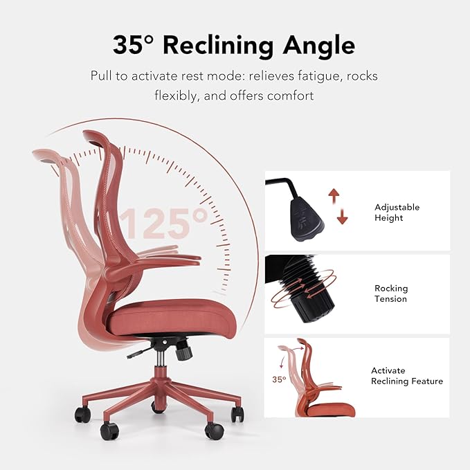 NearHub EC10 Stylish Ergonomic High Back Mesh Reclining Office Chair with Adjustable Flip-Up Armrests,Lumbar Support & Headrest,Breathable & Comfortable Computer Chair for Home, Office & Study