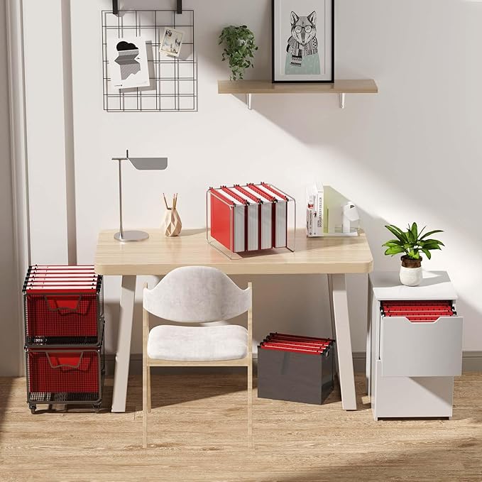 Nordun Plastic Hanging File Folder Extra Capacity,12 Pack Reinforced Hang Folders with Heavy Duty 2 Inch Expansion,Filing Cabinet Folders Letter Size,Hanging Organizer Designed for Bulky Files(Red)