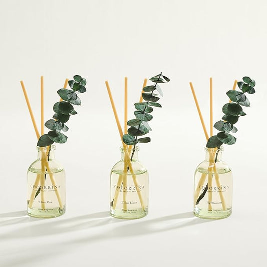 COCORRÍNA Eucalyptus Reed Diffuser Set of 3 - Clean Linen, White Pine, Fig Blossom Scents, 1.7 fl oz Each, Total 5.1 oz, Scented Oil Diffusers for Home & Office