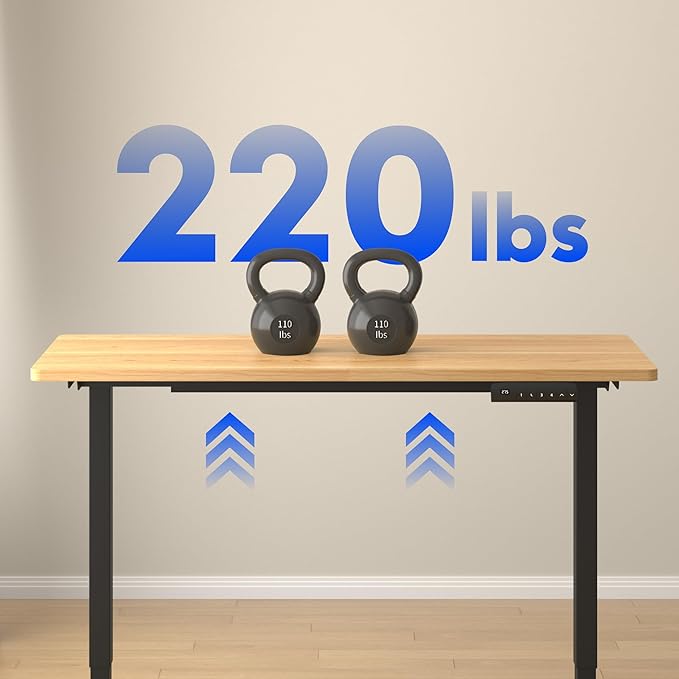 FLEXISPOT E3 Dual Motor Electric Standing Desk 48 x 30 Sit Stand Up Desk, Holds 220 lbs, Adjustable Height w/Memory Presets, One-Piece Maple Desktop & Black Frame, Ships in 2 Boxes