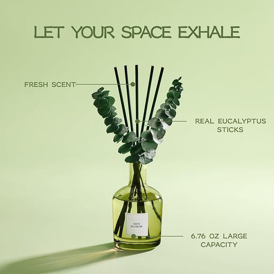 COCORRÍNA Olive Blossom Reed Diffuser – 6.76 oz Essential Oil with 8 Reeds & Real Eucalyptus Sticks, Home Fragrance for Bedroom or Bathroom Décor