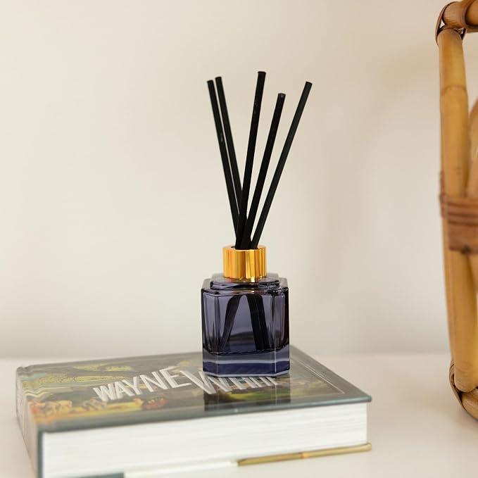 Paddywax Botanica Scented Oil Diffuser with Reeds in Reusable Blue Glass Bottle, Tubed Gift Box, Includes Diffuser Sticks, Long-Lasting Fragrance, Reusable & Upcyclable, Sea Salt & Amber, 2.8 fl oz