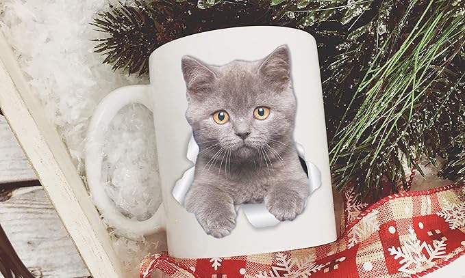 Winston & Bear British Shorthair Cat Mug - Grey Kitty Ceramic Coffee Mug Gift for Cat Lovers (11oz)