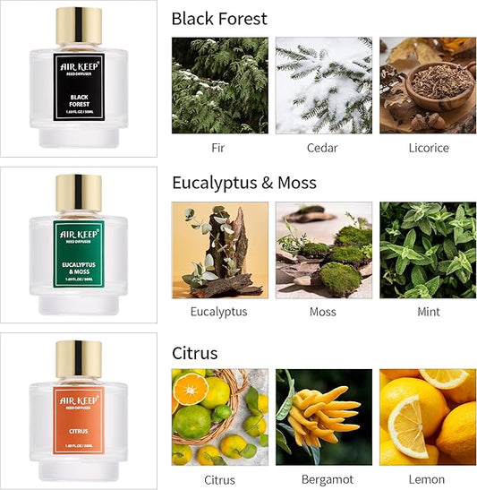 Airkeep Reed Diffuser Set of 3, Black Forest Eucalyptus Moss Citrus Oil Reed Diffusers for Bedroom Living Room Office Aromatherapy Oil Reed Diffuser for Gift 50ml