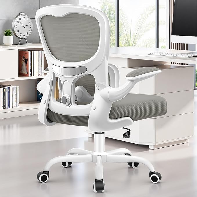 Ergonomic Office Chair, Breathable Mesh Ergonomic Desk Chair with Adjustable Lumbar Support, Flip-up Armrests, Computer Chairs Comfortable for Home, Office, Work, 300lbs, LightGray