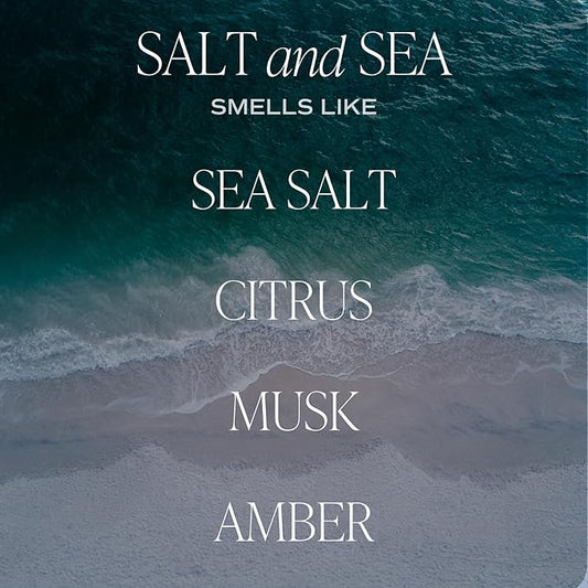 Sweet Water Decor Salt and Sea Reed Diffuser Set - Sea Salt, Citrus, Musk, and Amber Summer Scented Diffuser - Scent Diffusers for Home, Long Lasting Fragrance, Made in The USA
