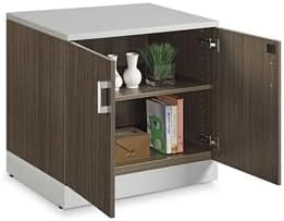 NBF 29.4" H Office Storage Cabinet - Driftwood Laminate Storage Cabinet with Two Lockable Door - Esquire Display Cabinet with Two Adjustable Shelves, Gray (22" D x 31.5" W x 29.5" H)