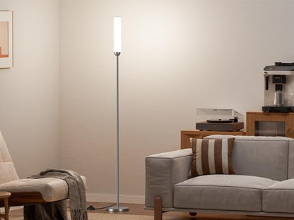 Ambimall LED Floor Lamp with Remote Control, 65" Standing lamp with Stepless Adjustable 3000K-6500K Colors & 30-100% Brightness, Foot Switch(Deep Grey) (Pack of 2)