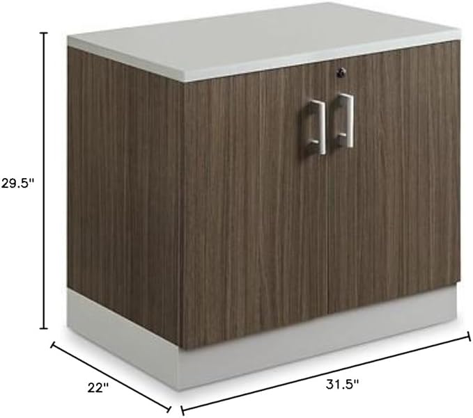 NBF 29.4" H Office Storage Cabinet - Driftwood Laminate Storage Cabinet with Two Lockable Door - Esquire Display Cabinet with Two Adjustable Shelves, Gray (22" D x 31.5" W x 29.5" H)