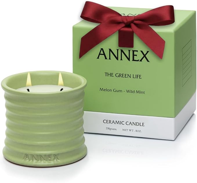 Annex Melon & Juniper Luxury Scented Candle - Handmade Ceramic Jar - 50hr Clean Burn, Non-Toxic Soy Wax - Aesthetic Home Decor Winter Gift for Men & Women - Botanical Crisp Scent