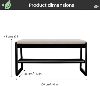Solid Wood Shoe Rack, 2 Tier Shoe Storage Bench with Cushion Seat, 10 Pair Shoe Organizer for Entryway, Black, 39 Inch