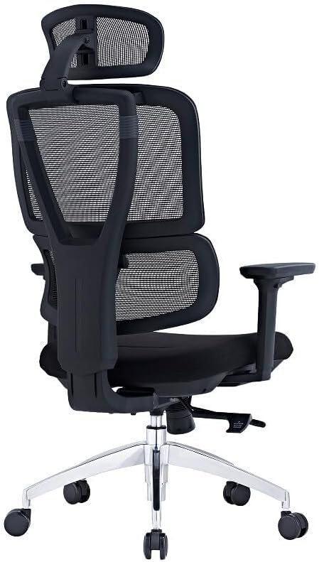 SUNLINE Elevate Office Chair - Ergonomic & Adjustable Lumbar Support System with Aluminum Base - 4D Curved Mesh Headrest & 3D Armrest Chair, Tilt Control