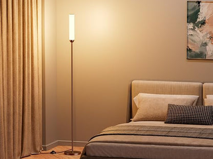 Ambimall LED Floor Lamp with Remote Control, 65" Standing lamp with Stepless Adjustable 3000K-6500K Colors & 30-100% Brightness, Foot Switch(Brown) (Pack of 2)