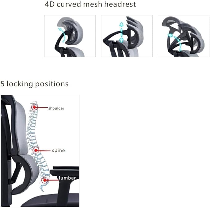 SUNLINE Elevate Office Chair - Ergonomic & Adjustable Lumbar Support System with Aluminum Base - 4D Curved Mesh Headrest & 3D Armrest Chair, Tilt Control