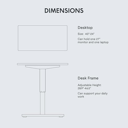 FLEXISPOT EN1 One-Piece Standing Desk, 40"x24" Seamless Desktop Electric Height Adjustable Desk for Home Office, Multi-Monitor Setups & Easy Assembly, White