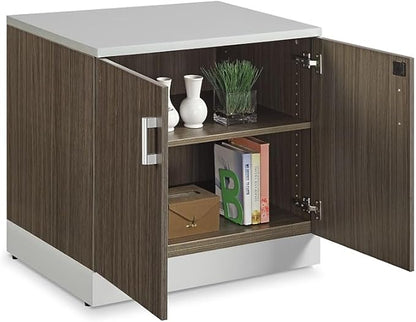 NBF 29.4" H Office Storage Cabinet - Driftwood Laminate Storage Cabinet with Two Lockable Door - Esquire Display Cabinet with Two Adjustable Shelves, Gray (22" D x 31.5" W x 29.5" H)