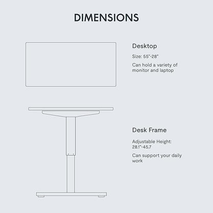 FLEXISPOT EN1 One-Piece Standing Desk with 1-Inch Thick Seamless Desktop, 55"x28" Electric Height Adjustable Desk for Home Office, Multi-Monitor Setups & Easy Assembly, Marble Gray