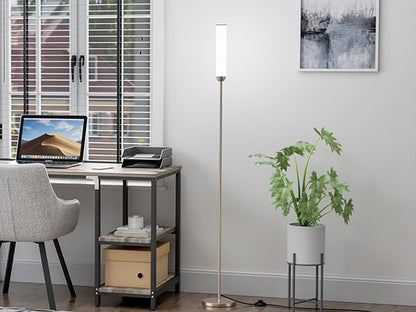 Ambimall LED Floor Lamp with Remote Control, 65" Standing lamp with Stepless Adjustable 3000K-6500K Colors & 30-100% Brightness, Foot Switch(Champagne Gold) (Pack of 2)