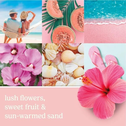 Yankee Candle ScentPlug Refill (2.5 Ounce (Pack of 4), Pink Sands)