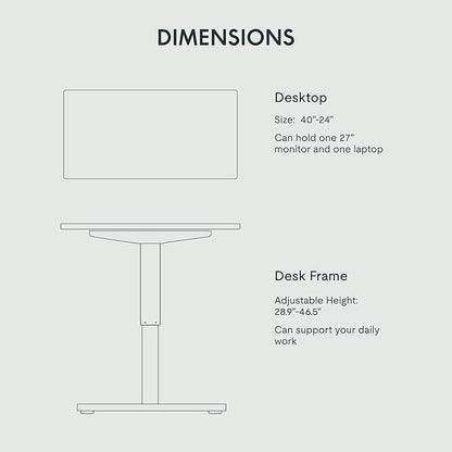 FLEXISPOT EN1 One-Piece Standing Desk, 40"x24" Seamless Desktop Electric Height Adjustable Desk for Home Office, Multi-Monitor Setups & Easy Assembly, Black (Black Frame)