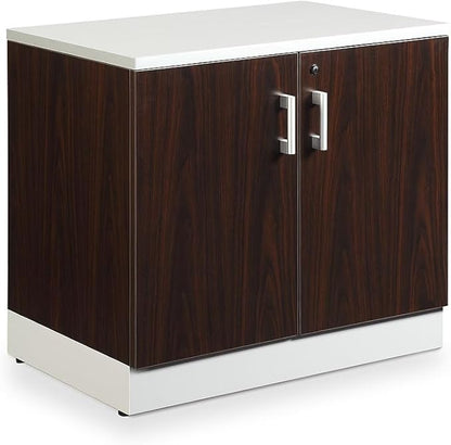 NBF 29.4" H Office Storage Cabinet - Driftwood Laminate Storage Cabinet with Two Lockable Door - Esquire Display Cabinet with Two Adjustable Shelves, Gray (22" D x 31.5" W x 29.5" H)