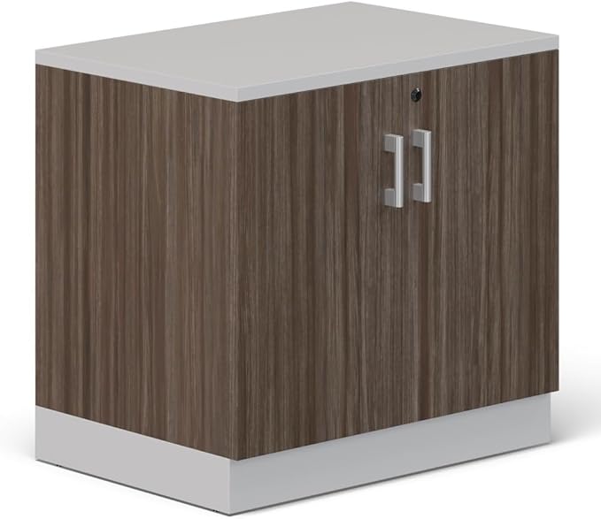 NBF 29.4" H Office Storage Cabinet - Driftwood Laminate Storage Cabinet with Two Lockable Door - Esquire Display Cabinet with Two Adjustable Shelves, Gray (22" D x 31.5" W x 29.5" H)