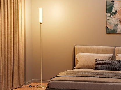 Ambimall LED Floor Lamp with Remote Control, 65" Standing lamp with Stepless Adjustable 3000K-6500K Colors & 30-100% Brightness, Foot Switch(Gold) (Pack of 2)