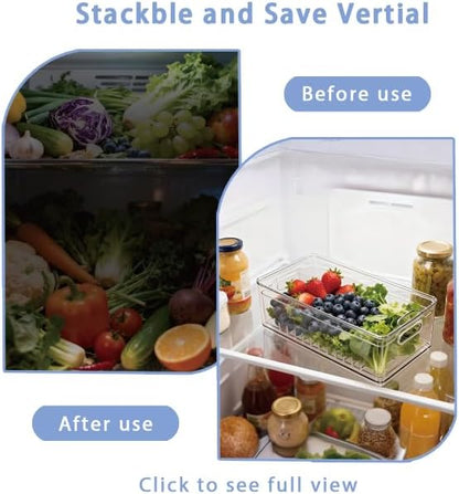 TAYUOOTransparent PET Fruit Draining and Washing colander food storage boxes plastic cookie containers refrigerator organizers (1, rectangle)