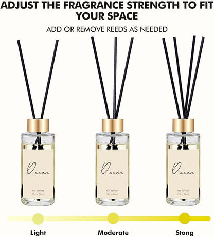 Reed Diffuser Set of 3, Eucalyptus, Linen & Ocean Scented Oil Diffusers with 15 Reeds, Long-Lasting Home Fragrance for Bedroom & Bathroom Decor, 1.7 fl oz Each, Total 5.1 oz