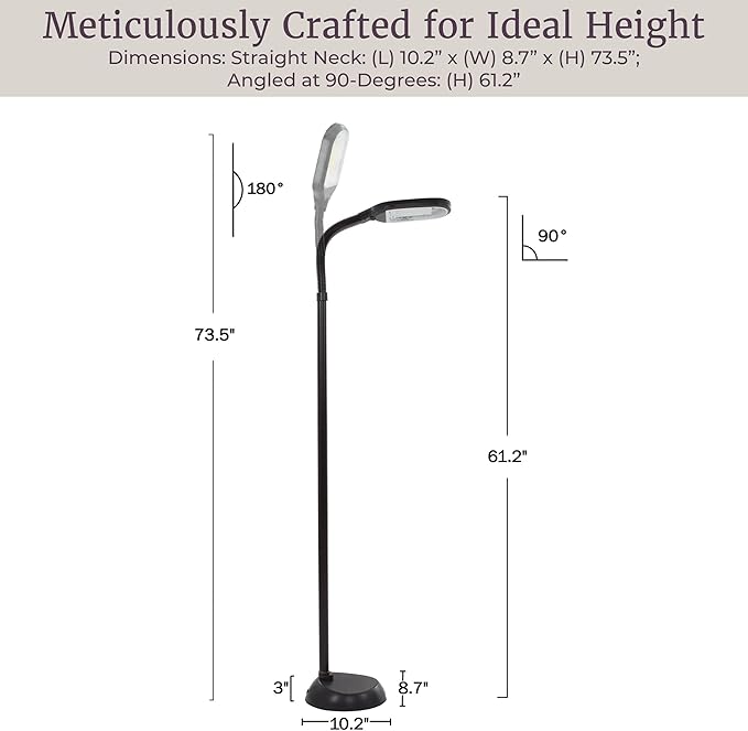 Floor Lamp - Full Spectrum Natural Sunlight Lamp with Bendable Neck - Reading, Craft, Studying, and Esthetician Light by Lavish Home (Black)