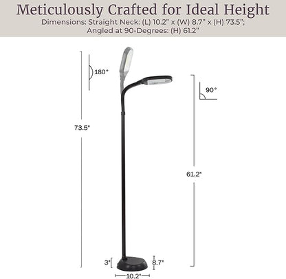 Floor Lamp - Full Spectrum Natural Sunlight Lamp with Bendable Neck - Reading, Craft, Studying, and Esthetician Light by Lavish Home (Black)