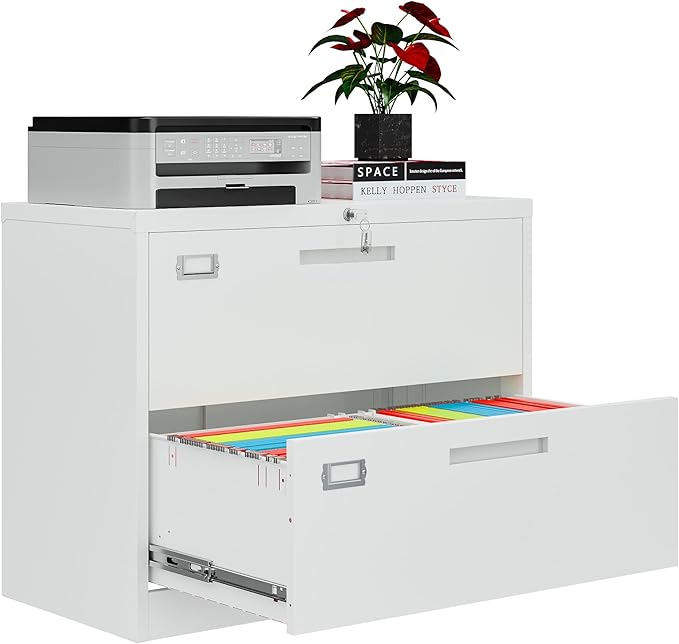 2 Drawer File Cabinets for Home Office, Metal Filing Cabinet with Lock, White Locking File Caninet Two Drawer, Office Storage Caninets Steel Cabnet for Letter/Legal/A4/F4-Assembly Required