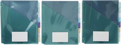 Amazon Basics Tab Dividers for 3 Ring Binder, Two Pocket, Letter Size, Transparent Assorted Colors, 24 Count (Pack of 2)