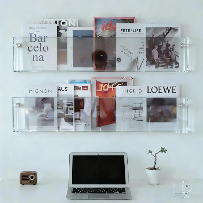 ROYALITA 2-Pack Acrylic Magazine Holder Brochure Holder, 36" Record Holder Magazine Rack, Fashion Hanging Bookshelf Literature Storage Rack for Waiting Room, Living Room, Office