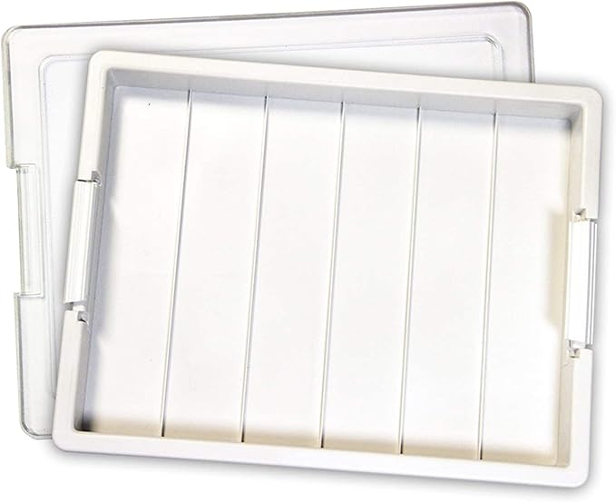 Bead Storage Solutions Elizabeth Ward Plastic Organizer Tray with Clear Snap Shut Lid for Sorting Craft Supplies, Fasteners, Crystals (2 Pack)