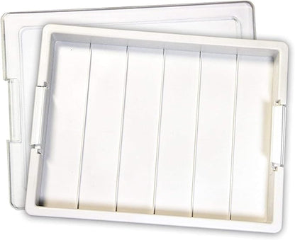 Bead Storage Solutions Elizabeth Ward Plastic Organizer Tray with Clear Snap Shut Lid for Sorting Craft Supplies, Fasteners, Crystals (2 Pack)