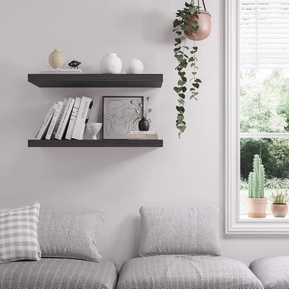 JPND Floating Shelf, Set of 2 Wall Shelf, 24 in W x 12.75 in D x 2 in H Wooden Floating Wall Shelf with Invisible Brackets for Living Room/Bedroom/Bathroom/Kitchen Storage and Decor, Black Wood