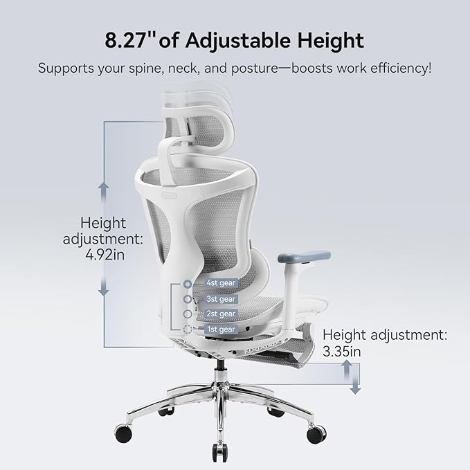 SIHOO Doro C300 Ergonomic Office Chair with Footrest, Ultra Soft 3D Armrests, Dynamic Lumbar Support for Home Office Chair, Adjustable Backrest Desk Chair, Swivel Big and Tall Computer Chair (Grey)