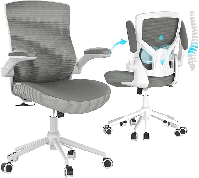 Office Chair, High Back Desk Chair Adjustable Height and Ergonomic Design Home Office Computer Chair, Executive Lumbar Support Padded Flip-up Armrest Office Chair