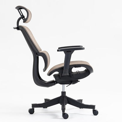 Ergonomic Office Chair with Independent Lumbar Support, Adjustable Height & 360° Swivel for Home Office Workstation (Brown)