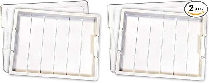 Bead Storage Solutions Elizabeth Ward Plastic Organizer Tray with Clear Snap Shut Lid for Sorting Craft Supplies, Fasteners, Crystals (2 Pack)