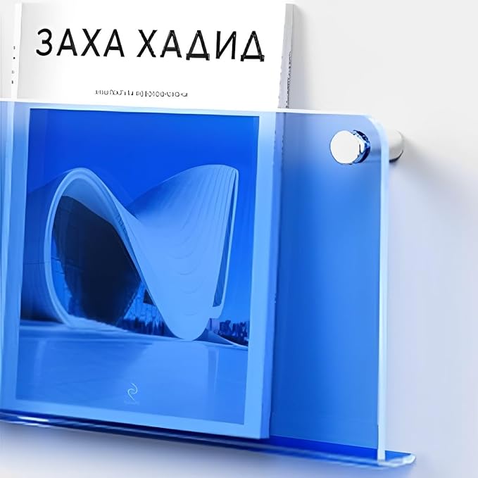 ROYALITA 2-Pack Acrylic Magazine Holder Brochure Holder, 36" Record Holder Magazine Rack, Fashion Hanging Bookshelf Literature Storage Rack for Waiting Room, Living Room, Office