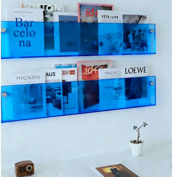 ROYALITA 2-Pack Acrylic Magazine Holder Brochure Holder, 36" Record Holder Magazine Rack, Fashion Hanging Bookshelf Literature Storage Rack for Waiting Room, Living Room, Office