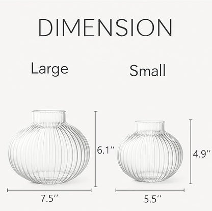 Round Glass Vases Set of 2, Flower Vases for Bouquet, Ribbed Glass Vase for Flowers, Small Clear Vase for Living Room, Office, Coffee Table, Shelf, Wedding