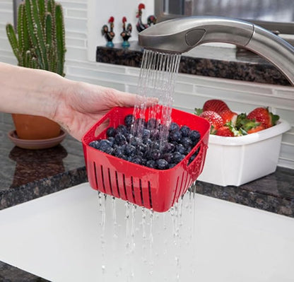 Hutzler 3-in-1 Berry Keeper Colander and Container, Keeps Berries Fresh Longer, 2 Pints, Blue